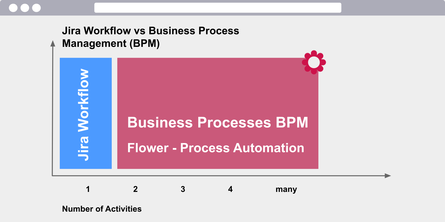 What is the difference between workflow and Bussines Process Management
